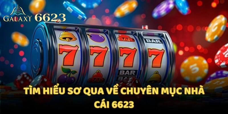 6623-tong-quan