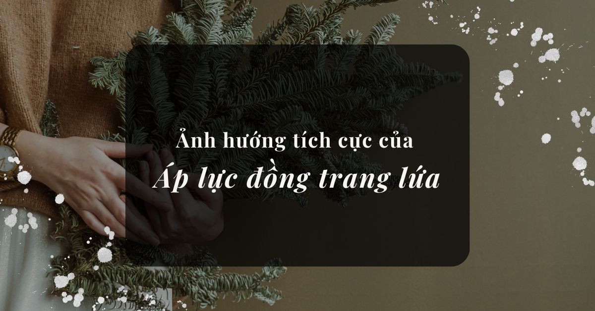 Ảnh hưởng tích cực của áp lực đồng trang lứa đến xã hội