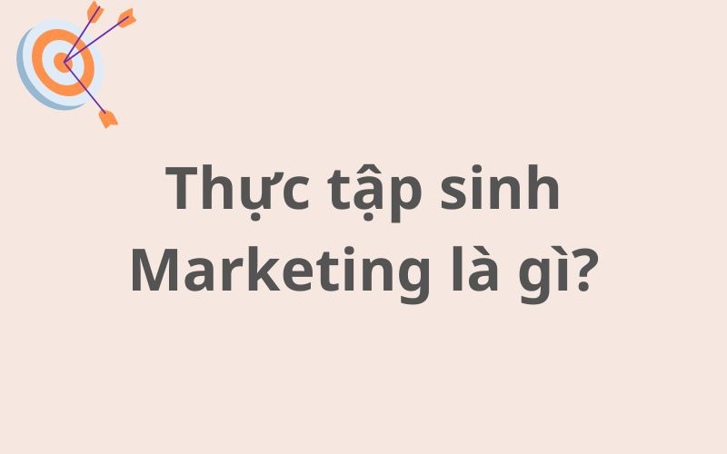 Thực tập sinh Marketing là gì? Vị trí nào phù hợp với bạn?