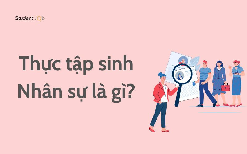 Thực tập sinh Nhân sự là gì? Có dễ xin không?
