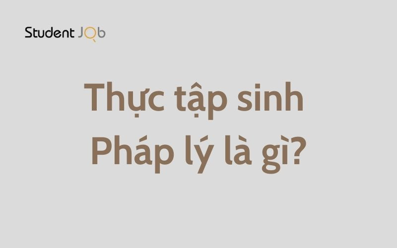 Thực tập sinh Pháp lý là gì? Những điều bạn cần biết