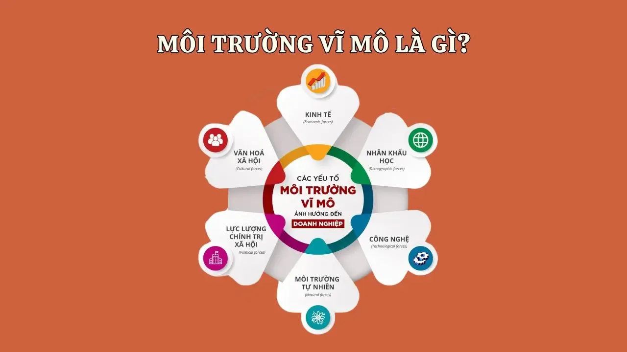 Môi Trường Vi Mô: Tầm Quan Trọng Đối Với Hoạt Động Doanh Nghiệp