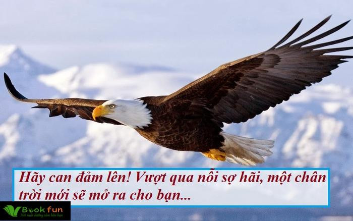 45 Status Truyền Cảm Hứng Giúp Bạn Khơi Dậy Đam Mê Cuộc Sống