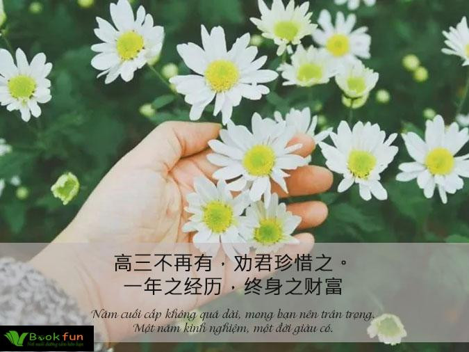 Khám Phá 30 Câu Nói Truyền Cảm Hứng Bằng Tiếng Trung Tuyệt Vời